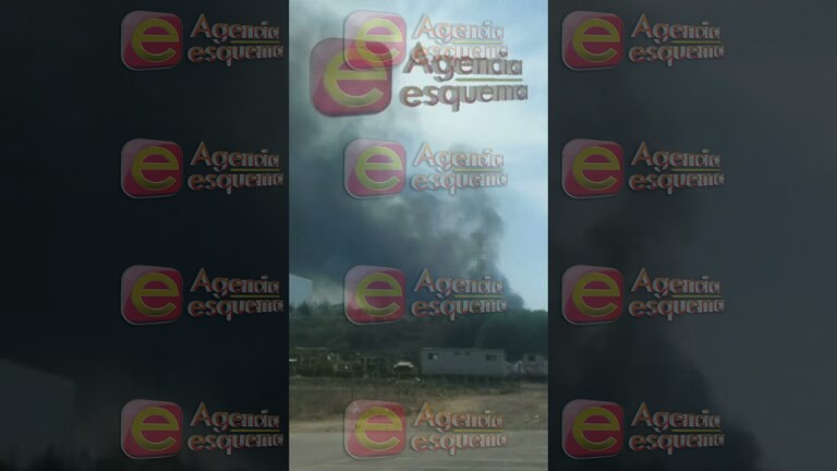 Arden carros almacenados en el corralón oficial rumbo a Ciudad Salud