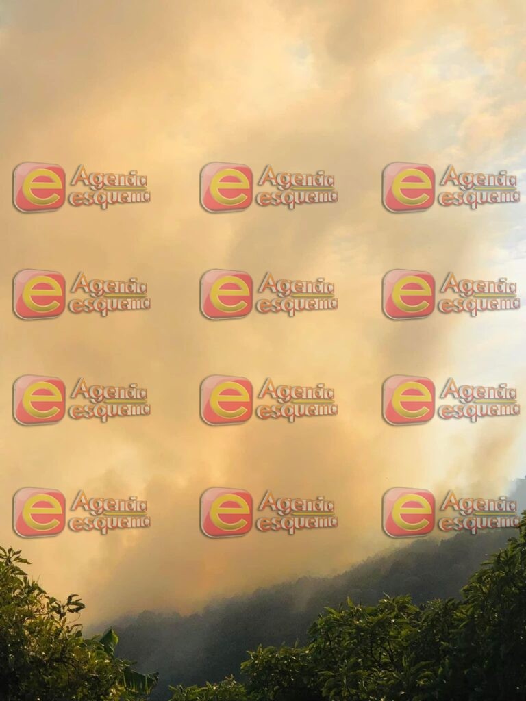 Fuera de control el incendio del monte en Cotija