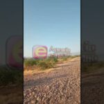 301492