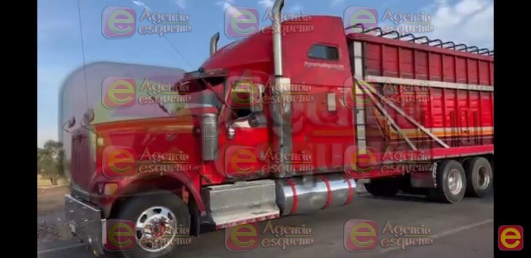 Cayó camionero narco