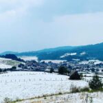 IMG-20230507-WA0035