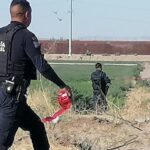 WhatsApp Image 2023-06-13 at 6.47.43 PM