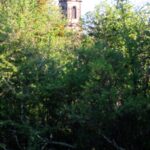 IMG-20240225-WA0027