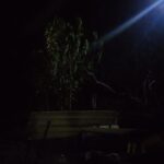 IMG-20240326-WA0041