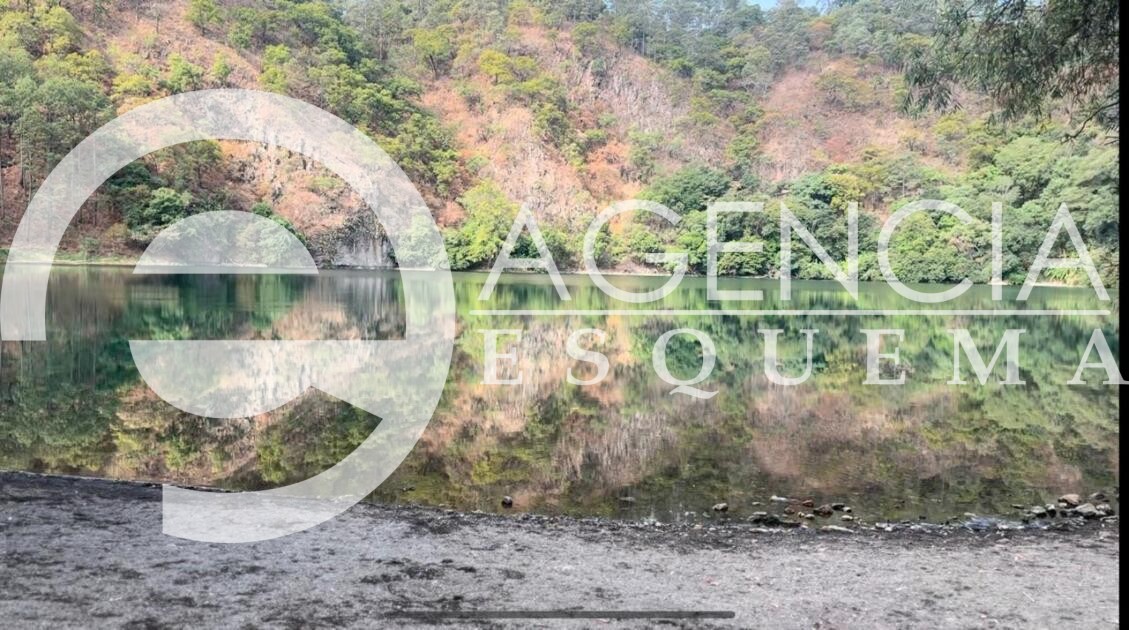 Retiran mangueras que sustraían agua ilegal de un manantial