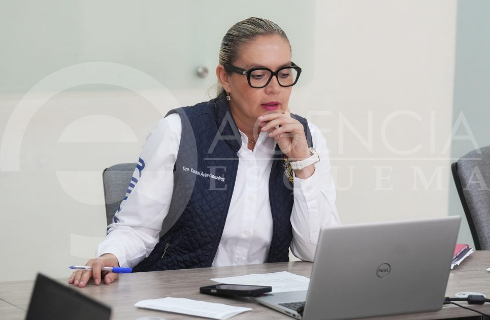 UMSNH se suma a la estrategia nacional por la paz; Yarabí Ávila participa en reunión de trabajo SEP-ANUIES