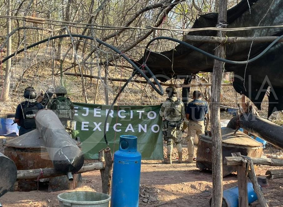 Destruyen narco laboratorio en Turicato