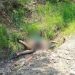 Cadáver de mujer arrojado en la Autopista Siglo XXI en el municipio de La Huacana