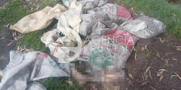 En Villa Jiménez encuentran restos humanos de tres cuerpos
