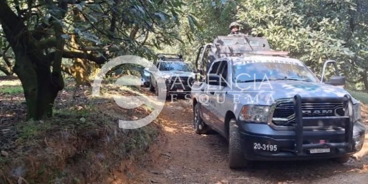 Hallan a mujer degollada en una huerta de Toreo El Alto; su pareja sentimental estaría relacionada con el crimen