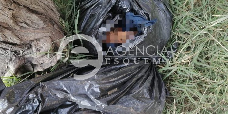 Torturado decapitado y desmembrado en Indaparapeo