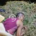 Un ejecutado más a la lista en Tarímbaro