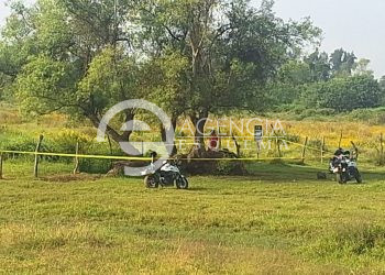 Hallan a hombre colgado de un árbol en la colonia Gobernadores, al oriente de Uruapan