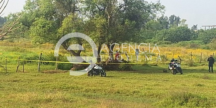 Hallan a hombre colgado de un árbol en la colonia Gobernadores, al oriente de Uruapan